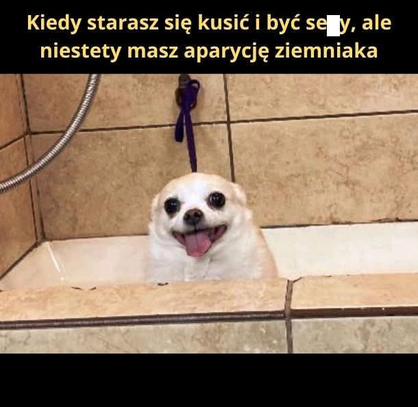 🥔
