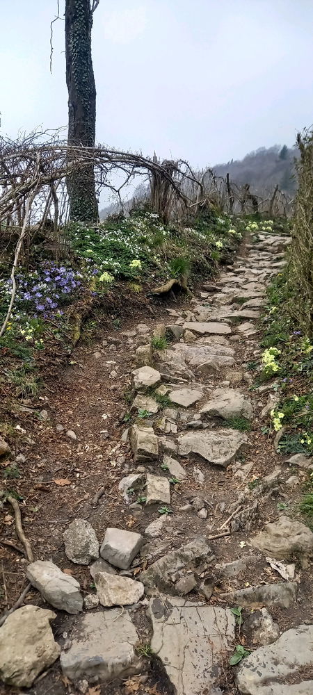 Trekking