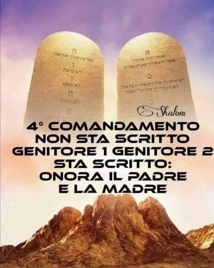 Voi cosa ne pensate ?