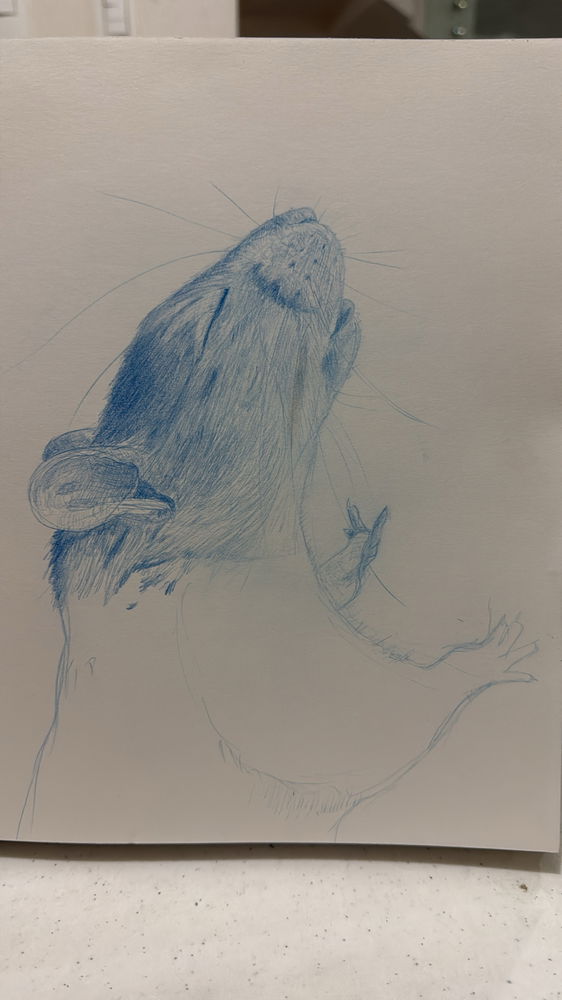 Work in progress. I messed up the lights. Oh well… progress, not perfection:)