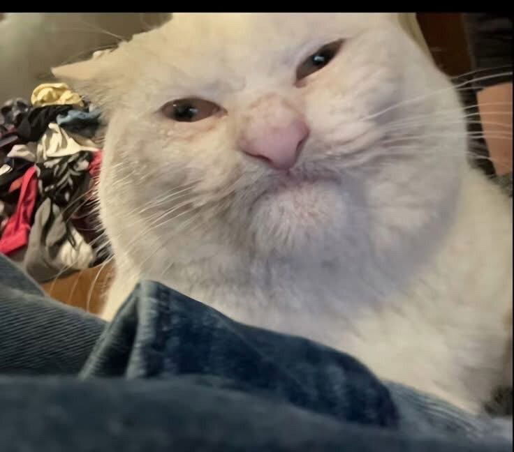😆