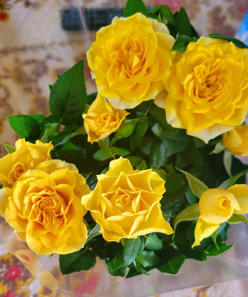 Buon Sabato 🌼