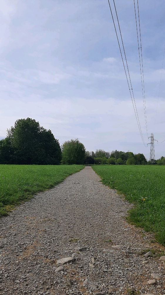 Walking day in quel di Seregno (mb)