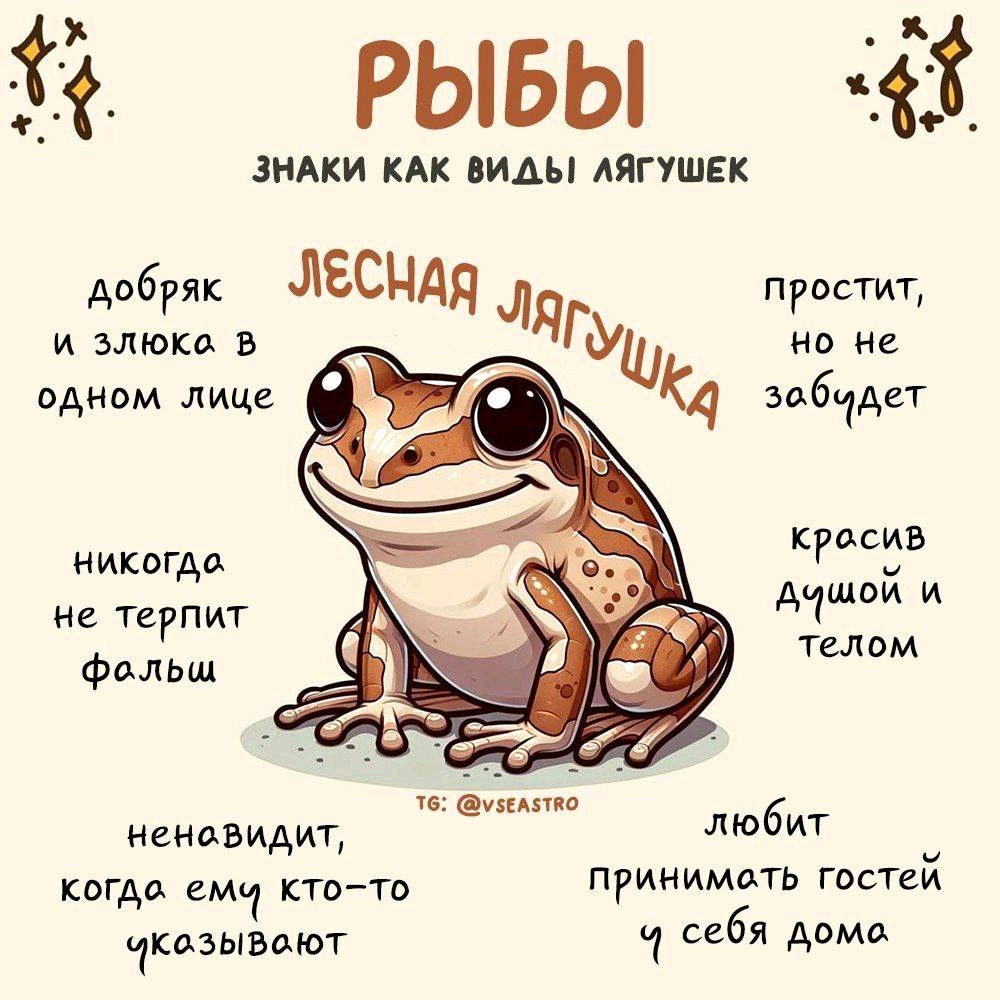 Я лягушка 🐸🐸