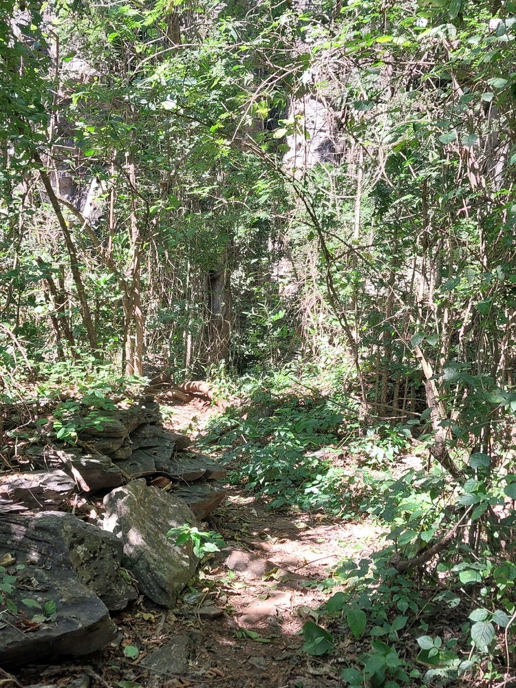 Um bom lugar. 💫✨️🌲🌳