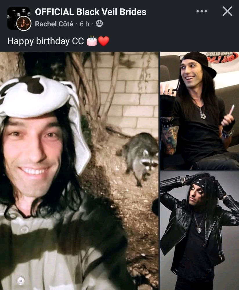 CC is a raccoon too!