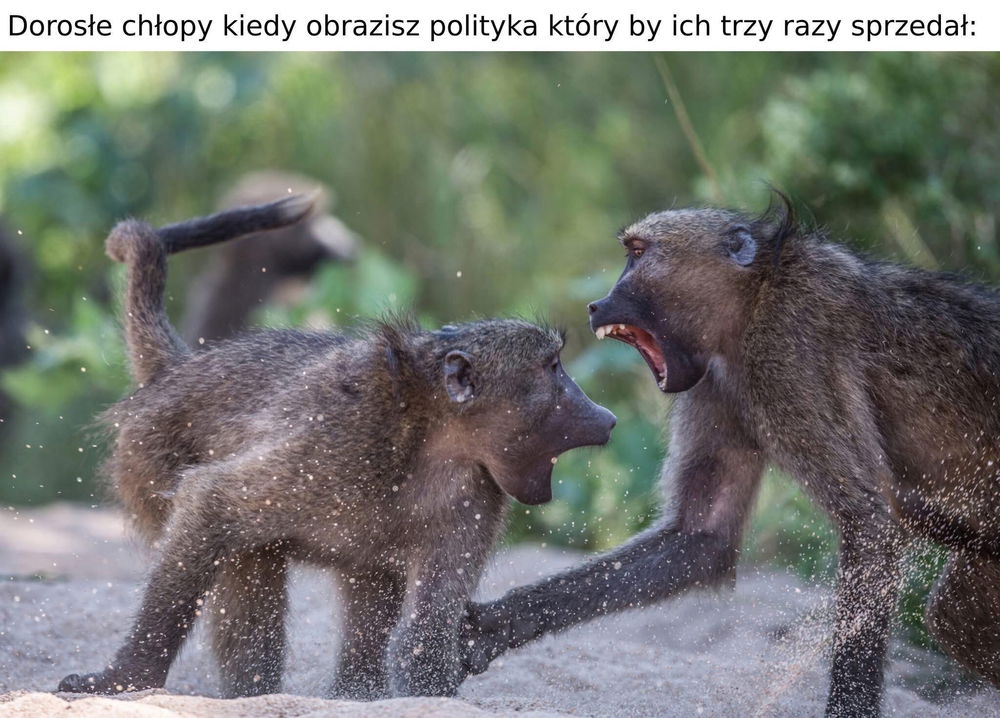 Kiedy