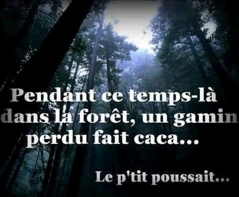 L'importance de l'orthographe...