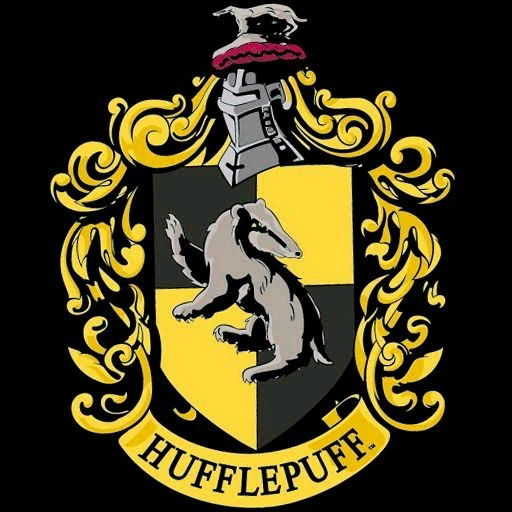 POV : She is a Hufflepuff 🪄✨
