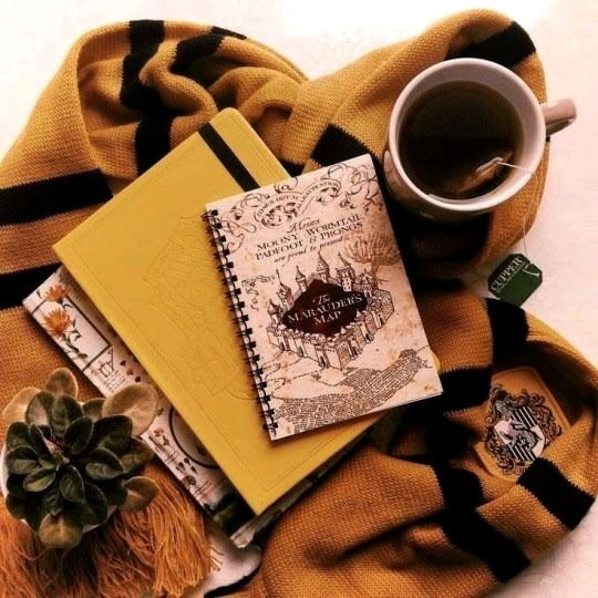POV : She is a Hufflepuff 🪄✨