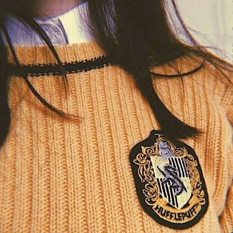 POV : She is a Hufflepuff 🪄✨