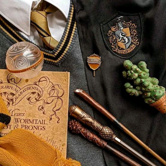 POV : She is a Hufflepuff 🪄✨