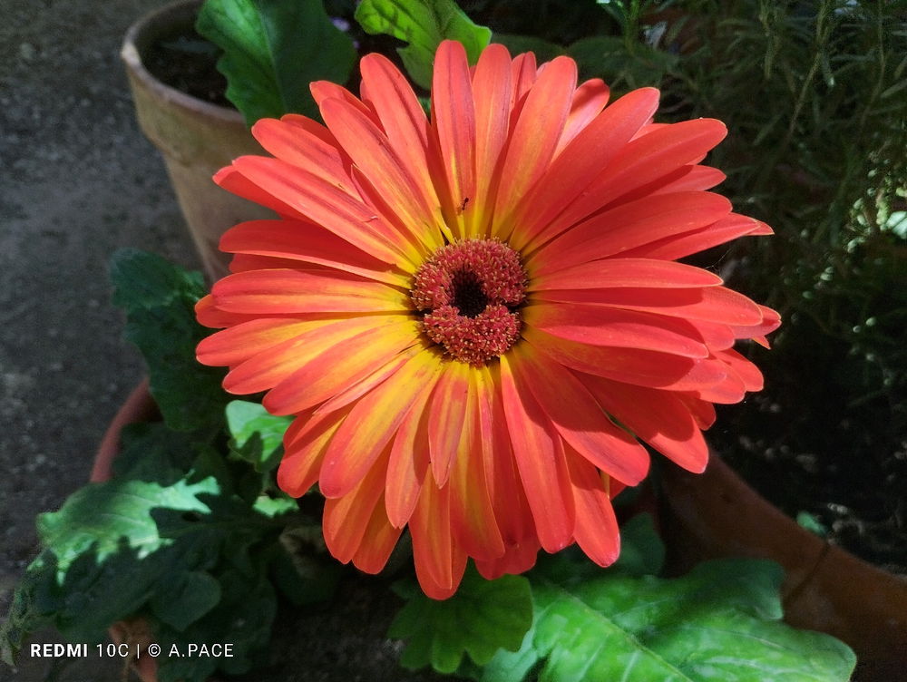 Un po' di colore