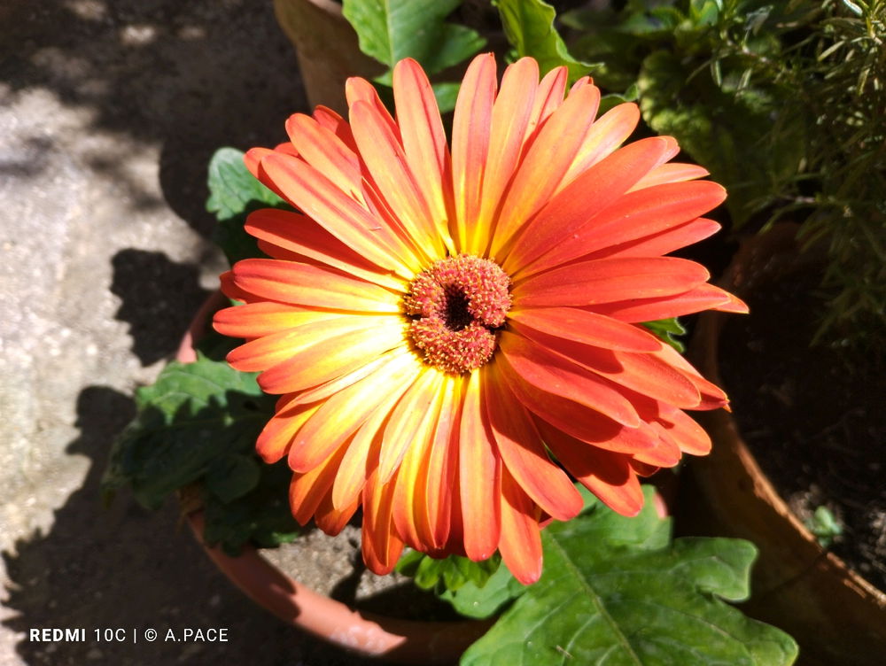 Un po' di colore