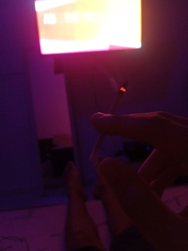 Bora F1?