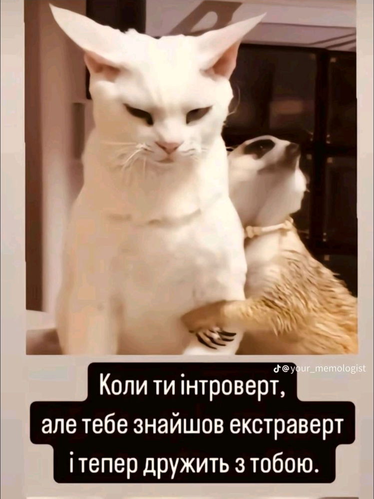 Шукаю екстраверта 😘