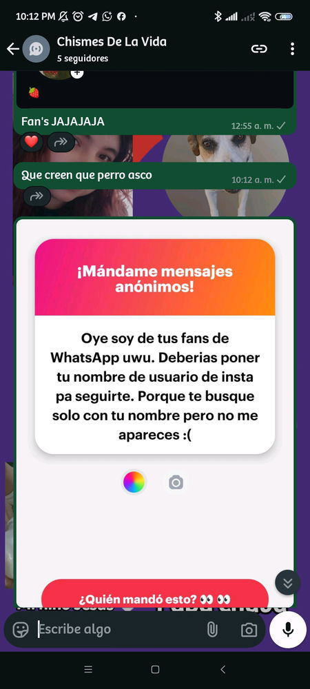 Yo la más feliz con mis 5 seguidores