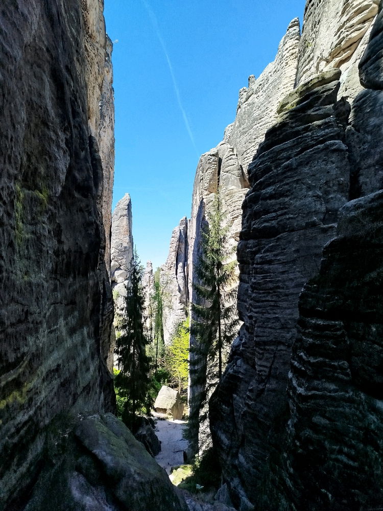 Prachovské skály