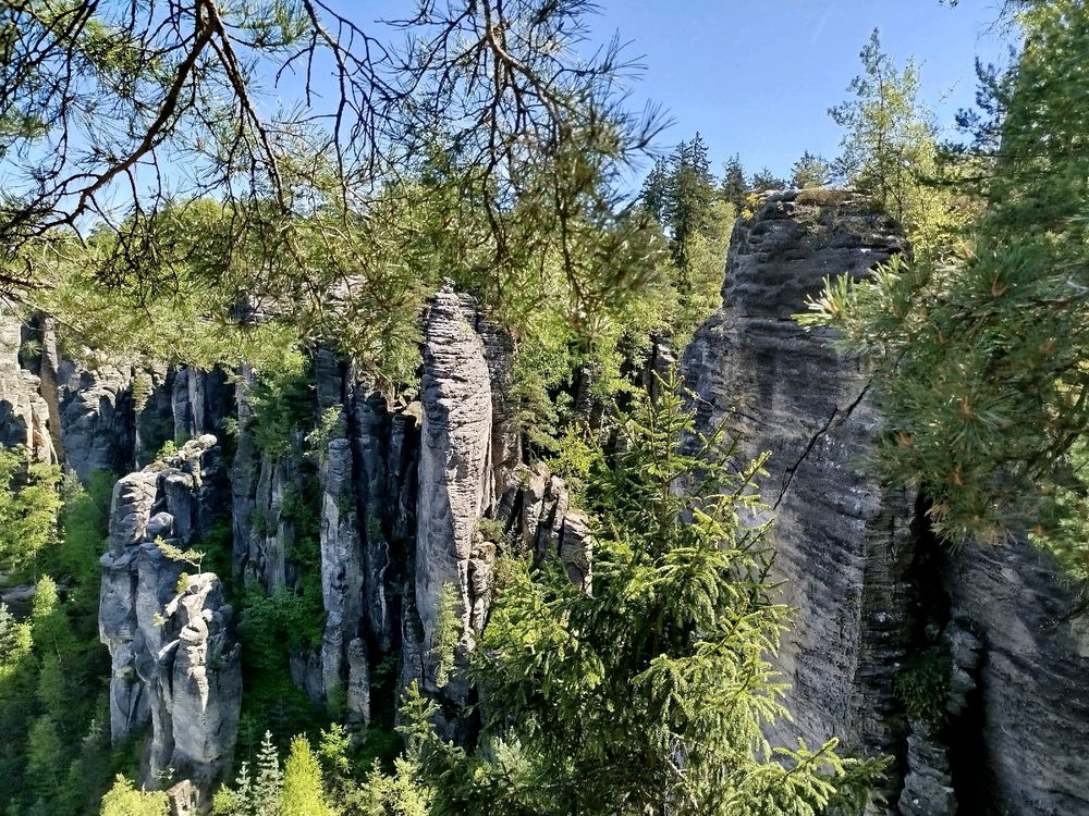 Prachovské skály