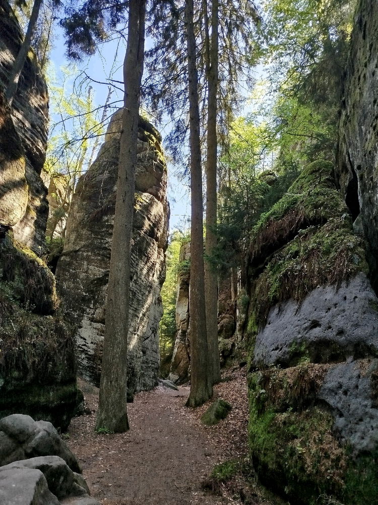 Prachovské skály
