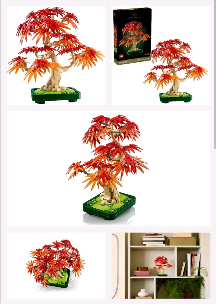🍁