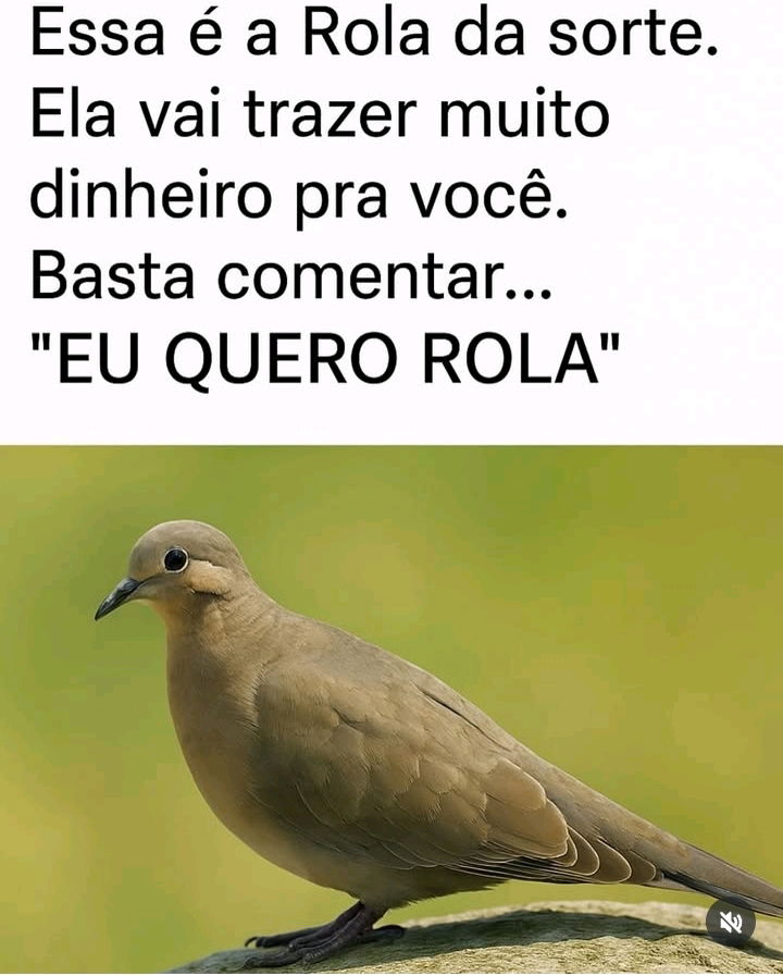 Sorte do dia...