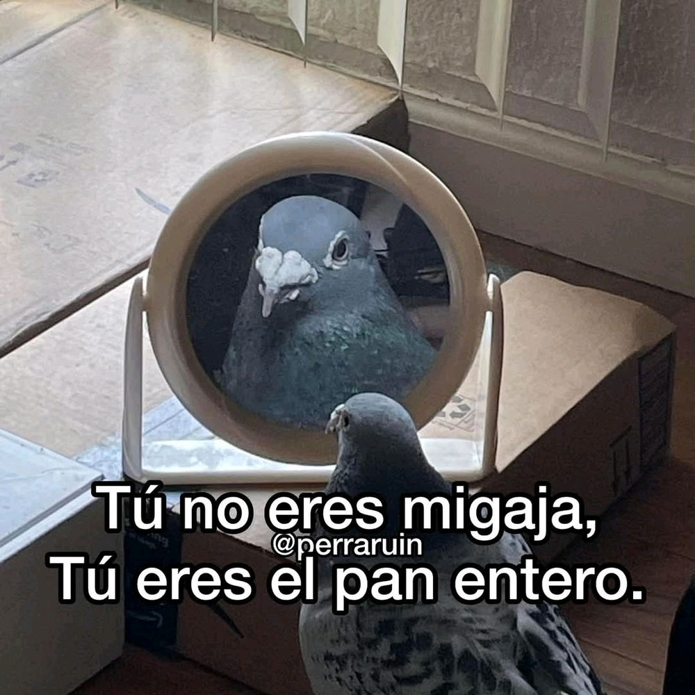 Un pequeño recordatorio 😸