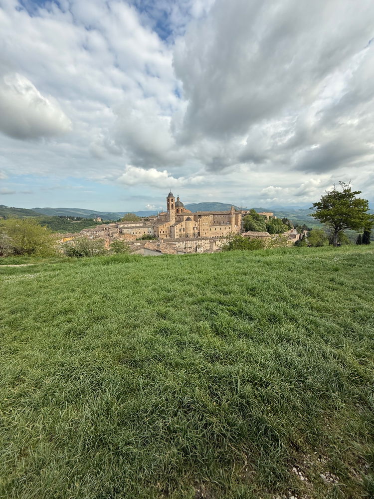 Urbino