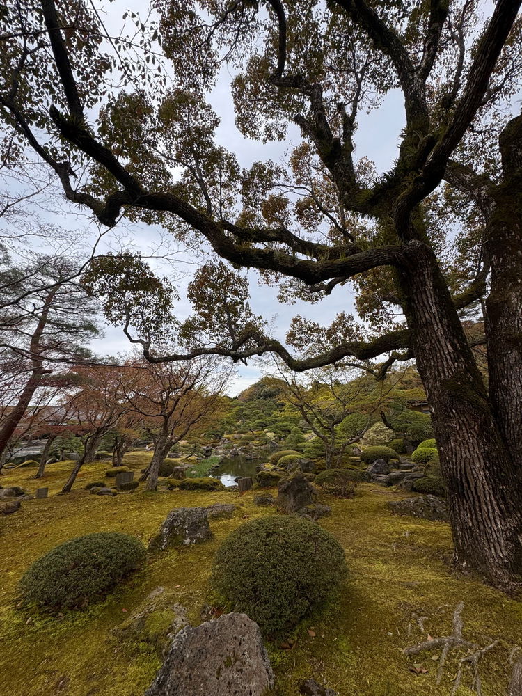 次回の日本旅行を楽しみにしています！