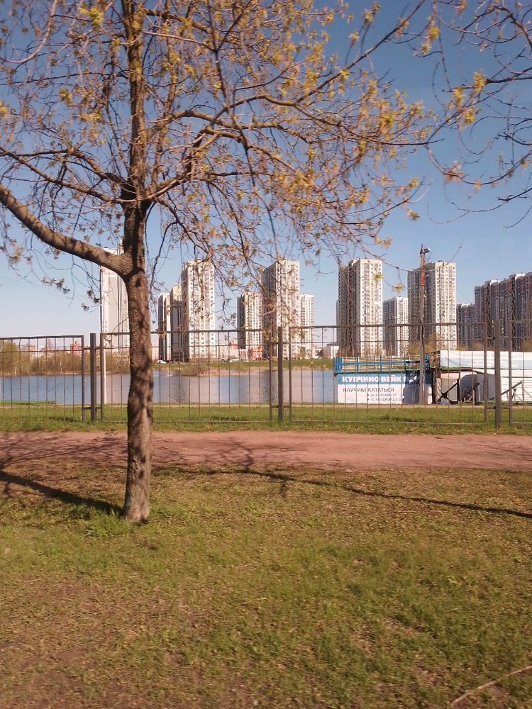 Похожи эти дома на кукурузное поле? Или у меня нездоровая фантазия))