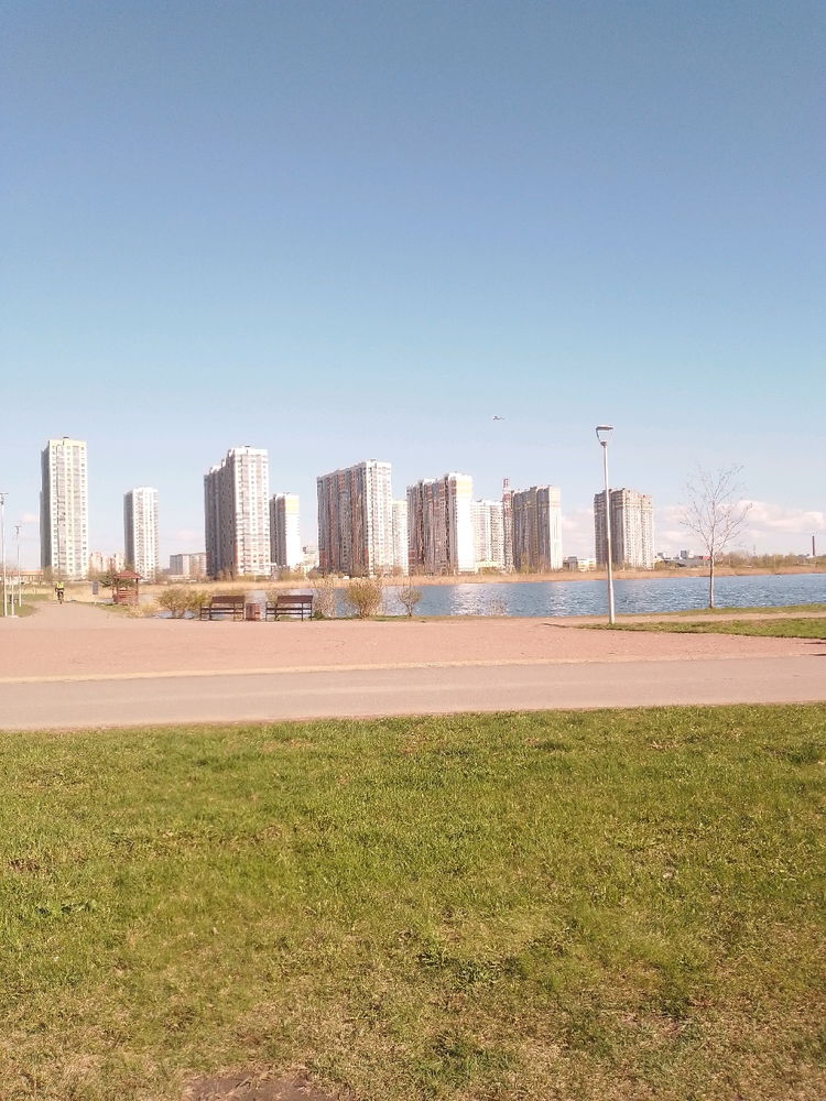 Похожи эти дома на кукурузное поле? Или у меня нездоровая фантазия))