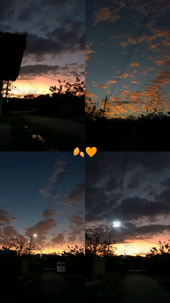 Habt einen schönen Abend 🌼🌿
