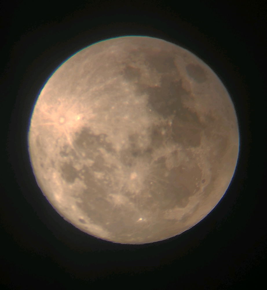 La musa della notte