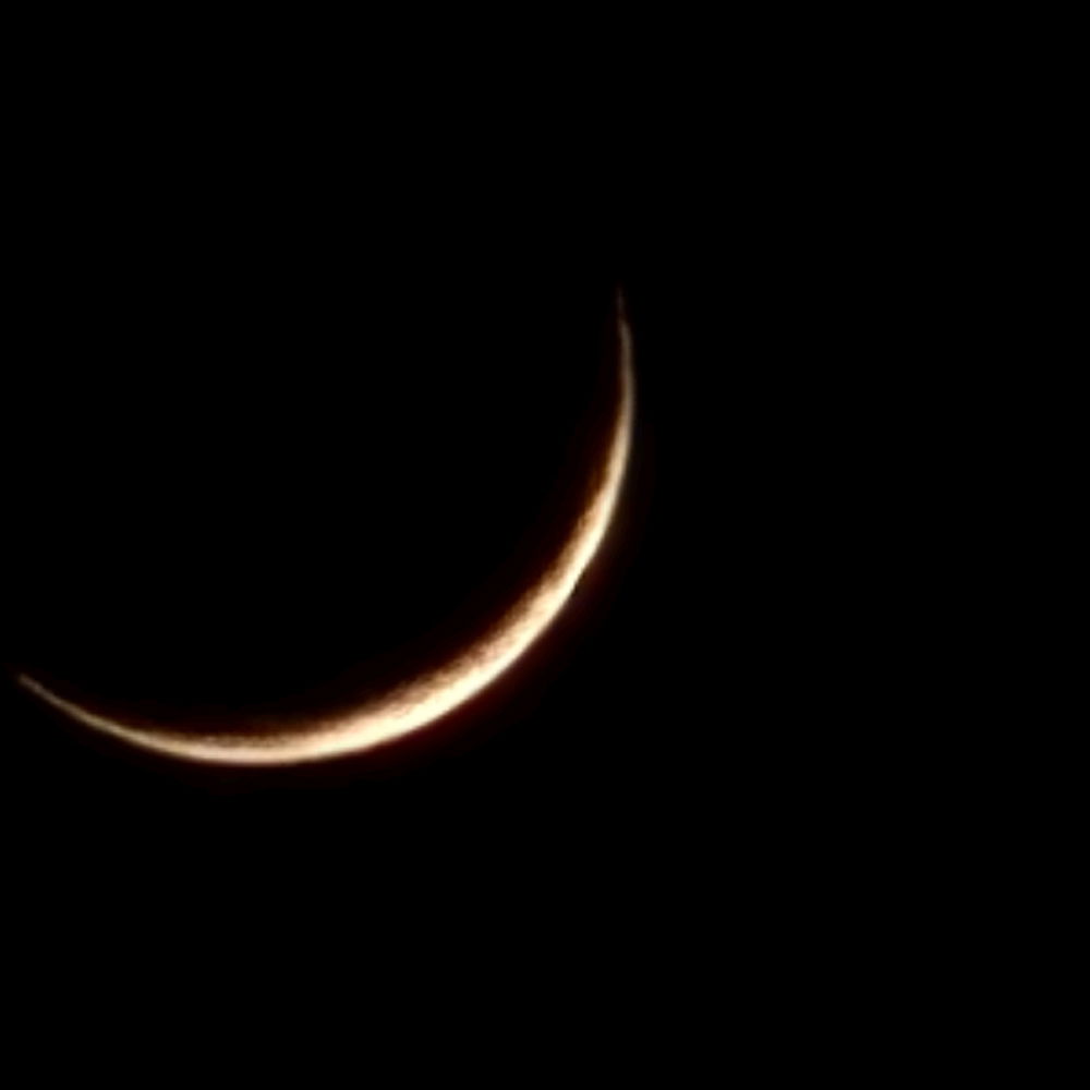 Falce di luna