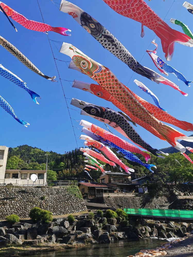 鯉のぼり