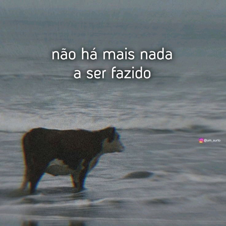 Boa noite!