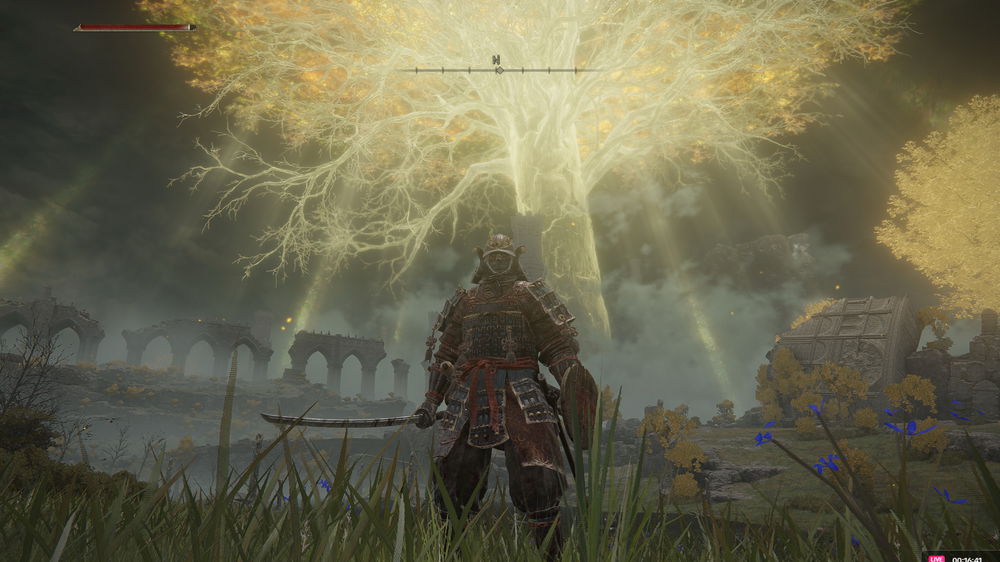 Elden Ring