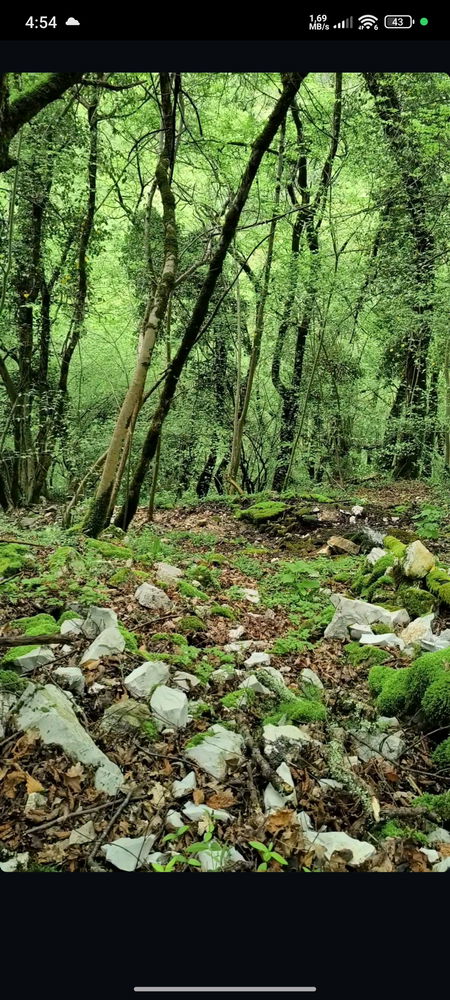 Relax nella natura