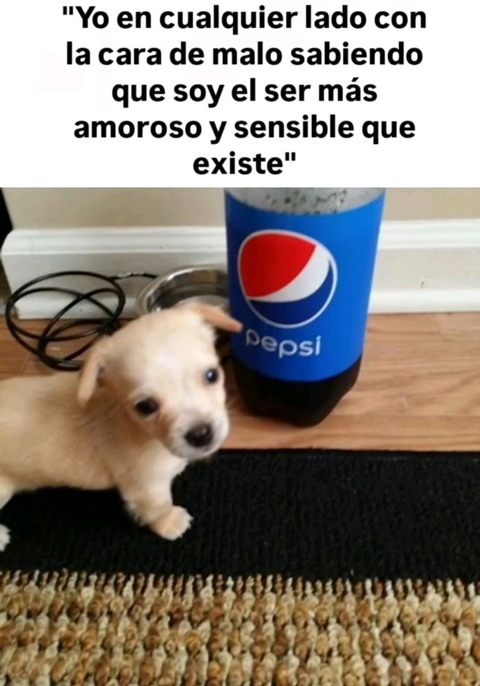 Se Busca Team para Fortnite 🐼