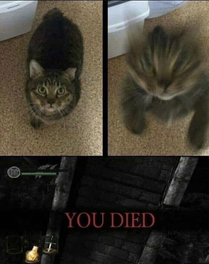 You