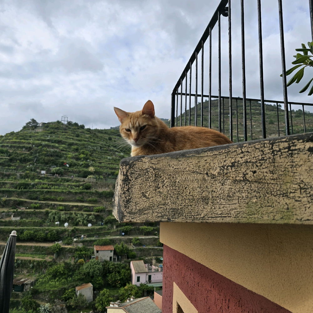 Pausa dal caldo