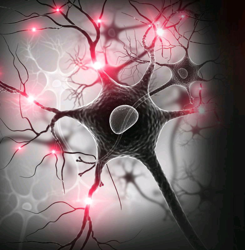 Neuroni specchio