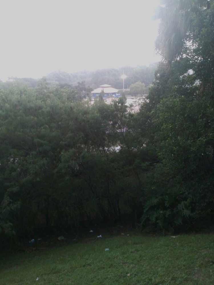 Levantar 5 am em ponto pra treinar no parque Chico Mendes vale cada segundo