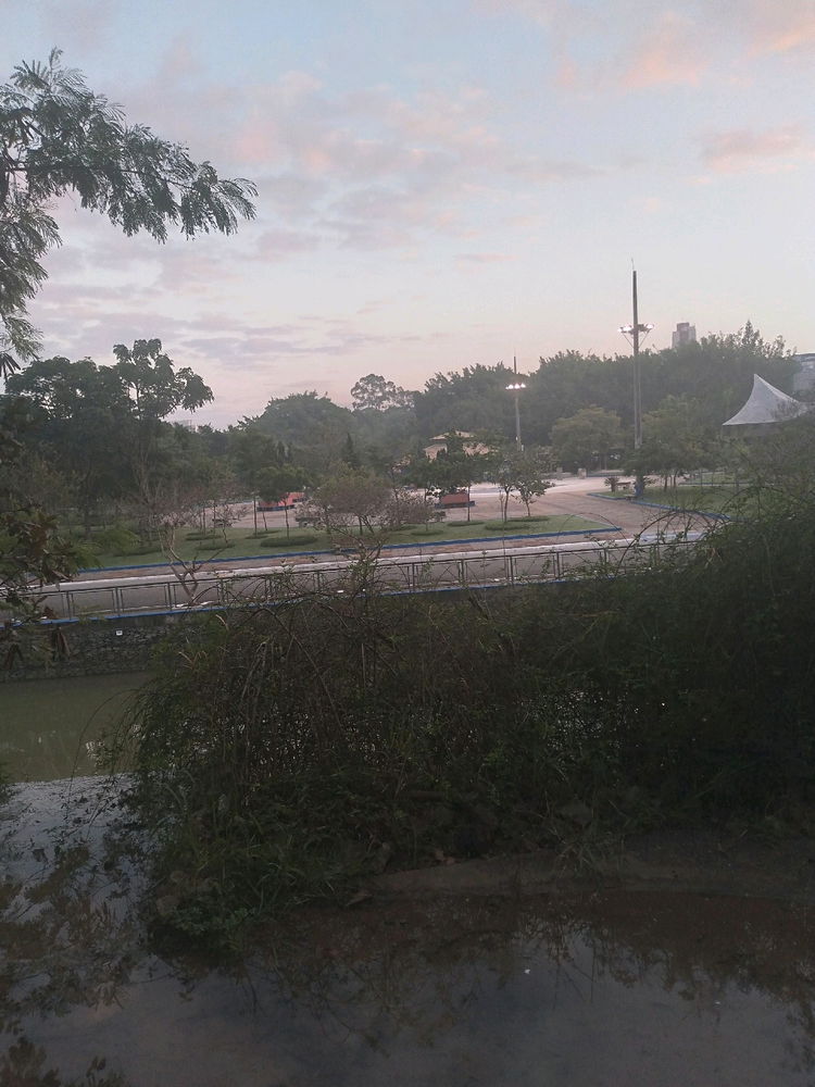 Levantar 5 am em ponto pra treinar no parque Chico Mendes vale cada segundo