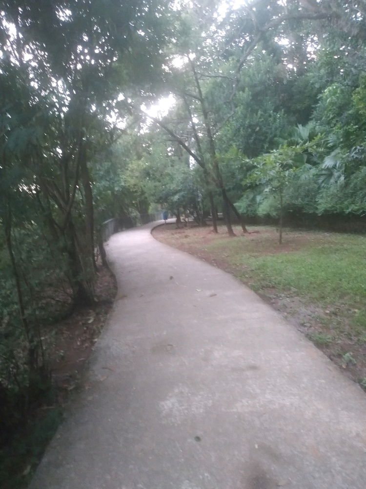 Mais uma foto dessa manhã maravilhosa