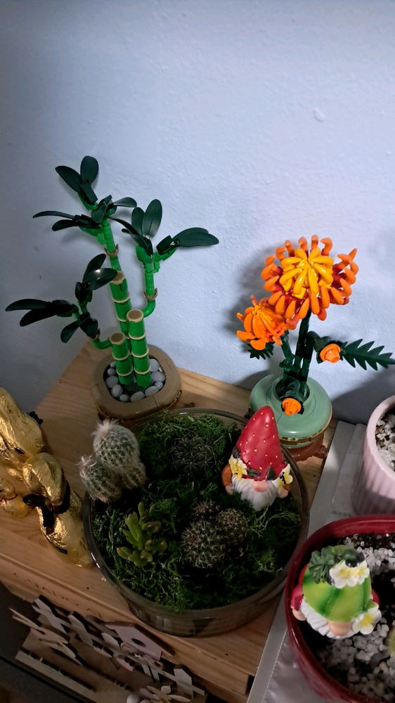 Ma quanto sono carini? 😍