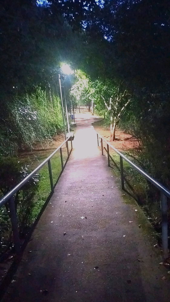 Manhã pra treinar