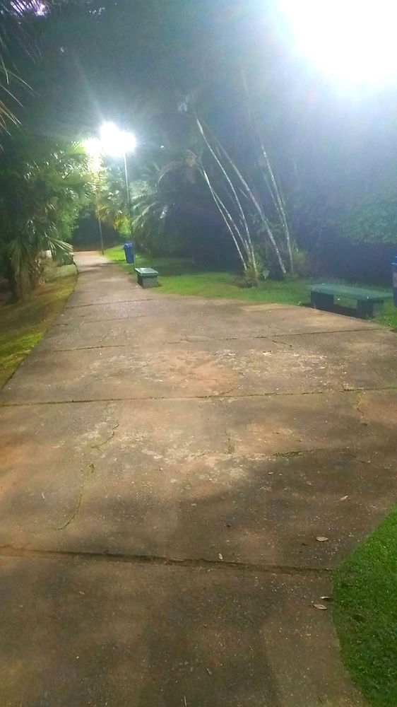 Manhã pra treinar