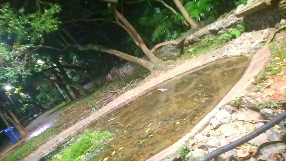 Manhã pra treinar