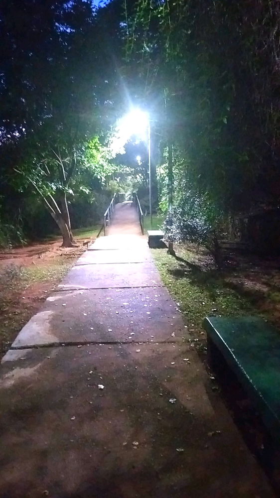 Manhã pra treinar